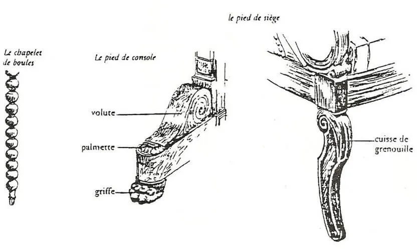 Caractéristiques des pieds Caractéristiques des pieds